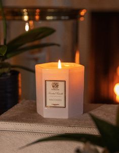 a white candle sitting on top of a table next to a potted plant and candles