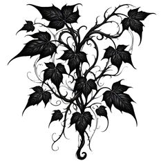 a black and white drawing of leaves on a vine with swirly vines in the center