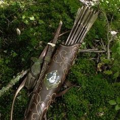 an arrow laying on the ground in the woods with arrows sticking out of it's side