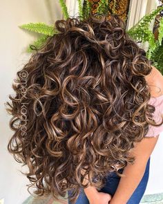 Dimensional Highlights Curly Hair, Highlights On Curly Dark Hair, Short Curly Hair 2024, Ombre Hair Color Curly Hair, Lowlights On Curly Hair, Highlights For Curly Hair Natural Curls Brunettes, Curly With Highlights, Curly Hair Partial Highlights, Black Curly Hair With Blonde Highlights