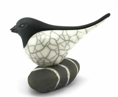 a black and white bird sitting on top of a rock