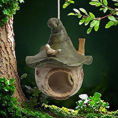 a bird house hanging from a tree branch