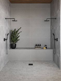 a bathroom with a plant and two shower heads