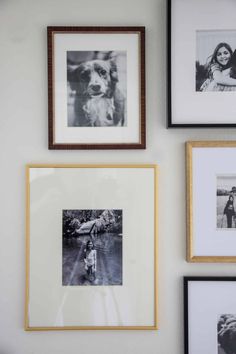 four framed pictures hang on the wall above a bed and below them is a woman with a dog