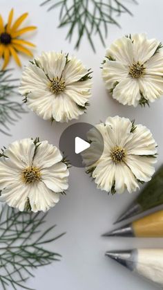 flowers and pencils are arranged on a white surface with pine needles in the foreground