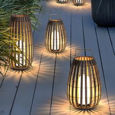 some lights that are on top of a wooden floor next to plants and grass in pots