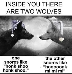 two dogs are facing each other in front of a full moon with the caption inside you there are two wolfs