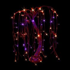 the letter k is made up of lights and branches with stars on it's sides