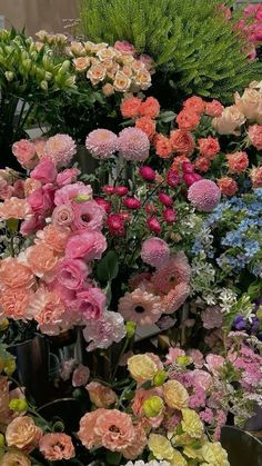 a bunch of flowers that are sitting on the ground