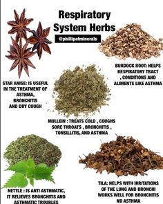 Herbs And Their Uses, Benefits Of Herbs, Natural Asthma Remedies, Asthma Remedies, Magia Das Ervas, Food Health Benefits