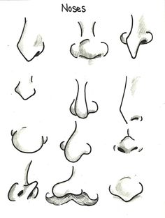 various nose shapes and noses drawn in pencil