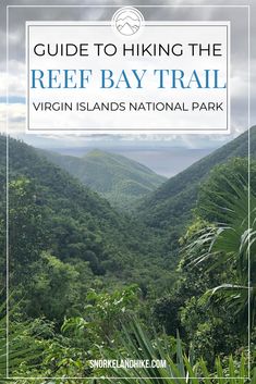 the guide to hiking the reef bay trail in virgin islands national park