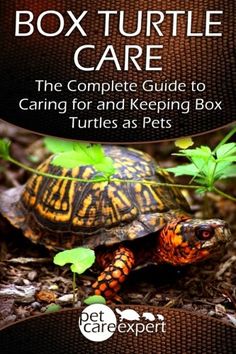 the box turtle care book is shown