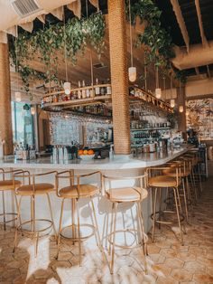 a bar with stools and plants hanging from the ceiling