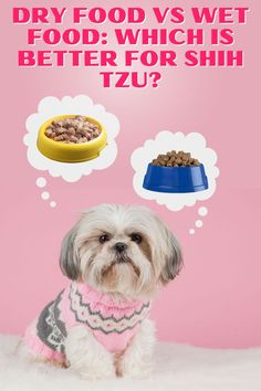 When it comes to their diet, there's a big debate: dry food or wet food? So today we're digging into the kibble vs. canned battle to find out which is better for your our Shih Tzus! Which Is Better, Maltese, Dog Treats, Diet, Things To Come, Good Things, Dogs