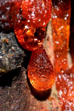 two orange pieces of glass sitting on top of rocks