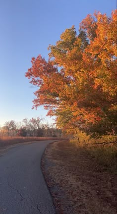 an empty road surrounded by trees with orange and yellow leaves