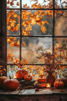 pumpkins and gourds sit on a window sill in front of an autumn scene