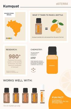 Native to Asia, kumquat is a small, orange-like citrus fruit. Kumquat has a sweet, uplifting scent and cleansing properties. Discover more about Kumquat essential oil.#sealifenatural Essential Oils For Headaches, Essential Oils For Sleep, Citrus Sinensis, Citrus Essential Oil, Essential Oil Benefits