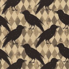 several black birds are standing on a checkerboard pattern background, and one is looking at the camera