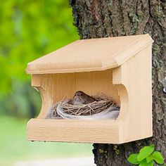 a bird's nest in a wooden box attached to a tree