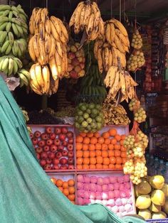 an outdoor fruit stand with bananas, oranges, and other fruits hanging from the ceiling