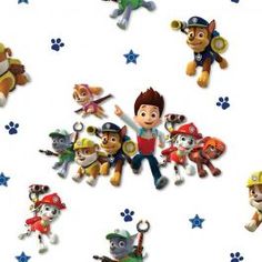 the paw patrol wallpaper has many cartoon characters on it