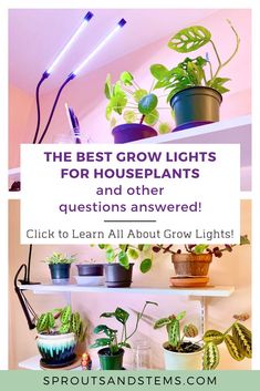 the best grow lights for houseplants and other questions answered click to learn all about grow lights