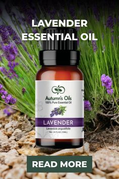 lavender essential oil bottle Wintergreen Essential Oil, Myrrh Essential Oil, Essential Oil Gift Set, Lavender Benefits, Oil Gifts, Grapefruit Essential Oil, Fractionated Coconut Oil, Lavender Fields, Natural Cleaning Products