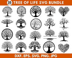 the tree of life svg bundle is shown in black and white, with an orange background