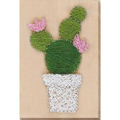 a cactus with pink flowers in a white pot on a beige background, framed by string