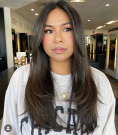 Layered Haircuts Straight Hair, Medium Length Brown Hair, Haircuts For Long Hair With Layers, Brown Hair Looks, Framing Layers, Hair Inspiration Long, Brown Hair Inspo, Layered Haircuts For Medium Hair, Face Framing Layers