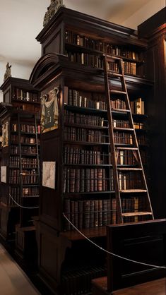 an old library with many books on shelves and a ladder leading up to the top