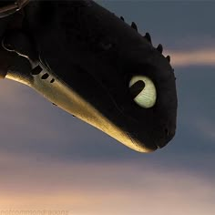 a close up view of a dragon's head with the sky in the background