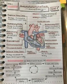 a notebook with an illustration of the human heart and other organ systems on it's side