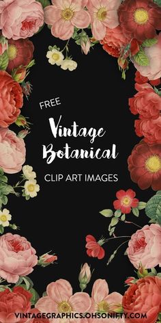 the free vintage botanical clip art images are available for use in this postcard design