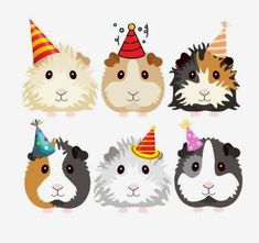 guinea pigs with party hats on their heads and one is wearing a birthday cake hat