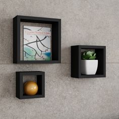 two square wall shelves with decorative artwork on the sides and one holding a ball,