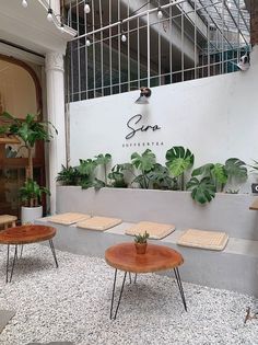 two tables with plants on them in front of a store sign that says sav coffee