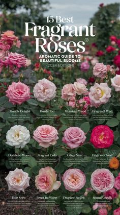 the front cover of an annual guide to flowers and plants in bloom, including roses