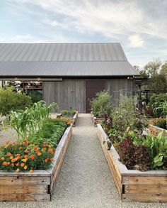 an outdoor garden with lots of plants and flowers in the foreground, next to a barn