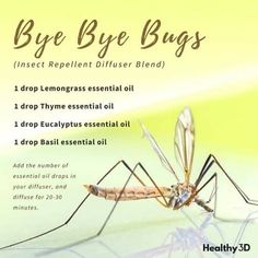 Thyme Essential Oil, Basil Essential Oil, Creepy Crawlers, Essential Oil Mixes, Diffuser Blend