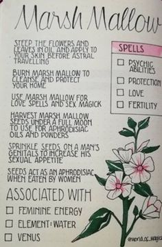 Herb Meanings, Witchy Journal, Nature Witch