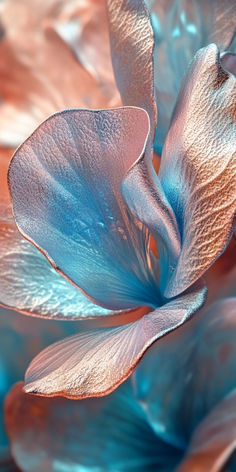 an image of a flower that is blue and pink