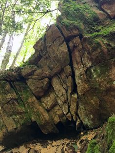 the rocks are covered with green moss and trees