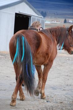 a woman riding on the back of a brown horse