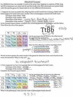 the worksheet is filled with numbers and symbols