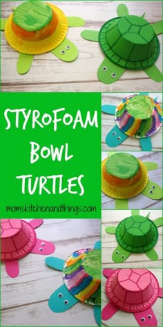 paper plate turtle craft for children to make