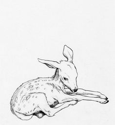 a black and white drawing of a deer laying down