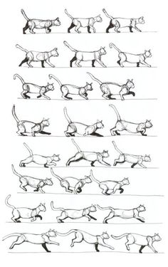 an image of dogs in different positions and sizes